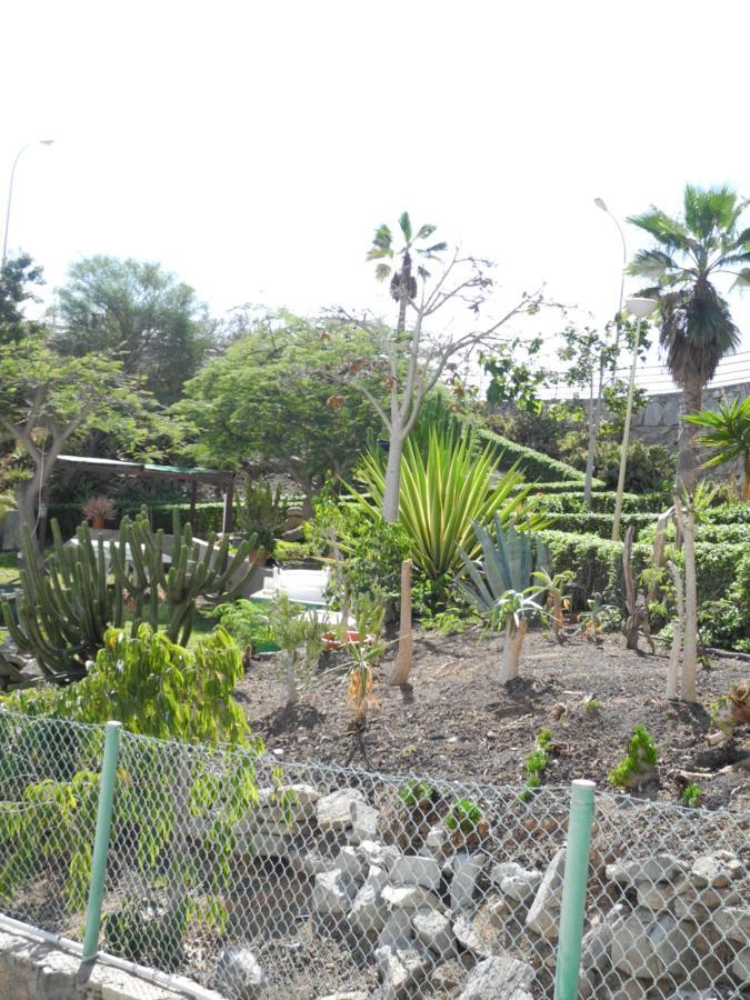 Apartamentos Los Mocanes เปอร์โตริโก ภายนอก รูปภาพ