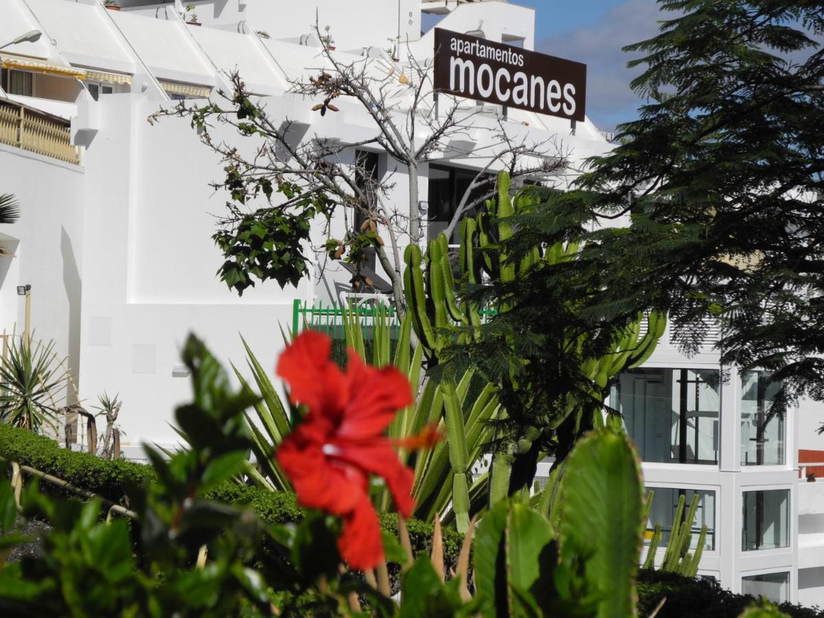 Apartamentos Los Mocanes เปอร์โตริโก ภายนอก รูปภาพ